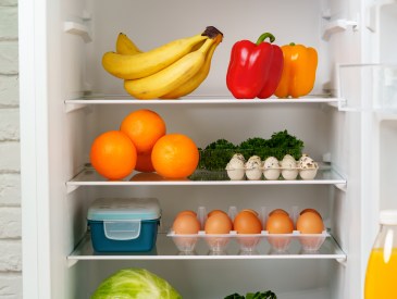 Fridge interior