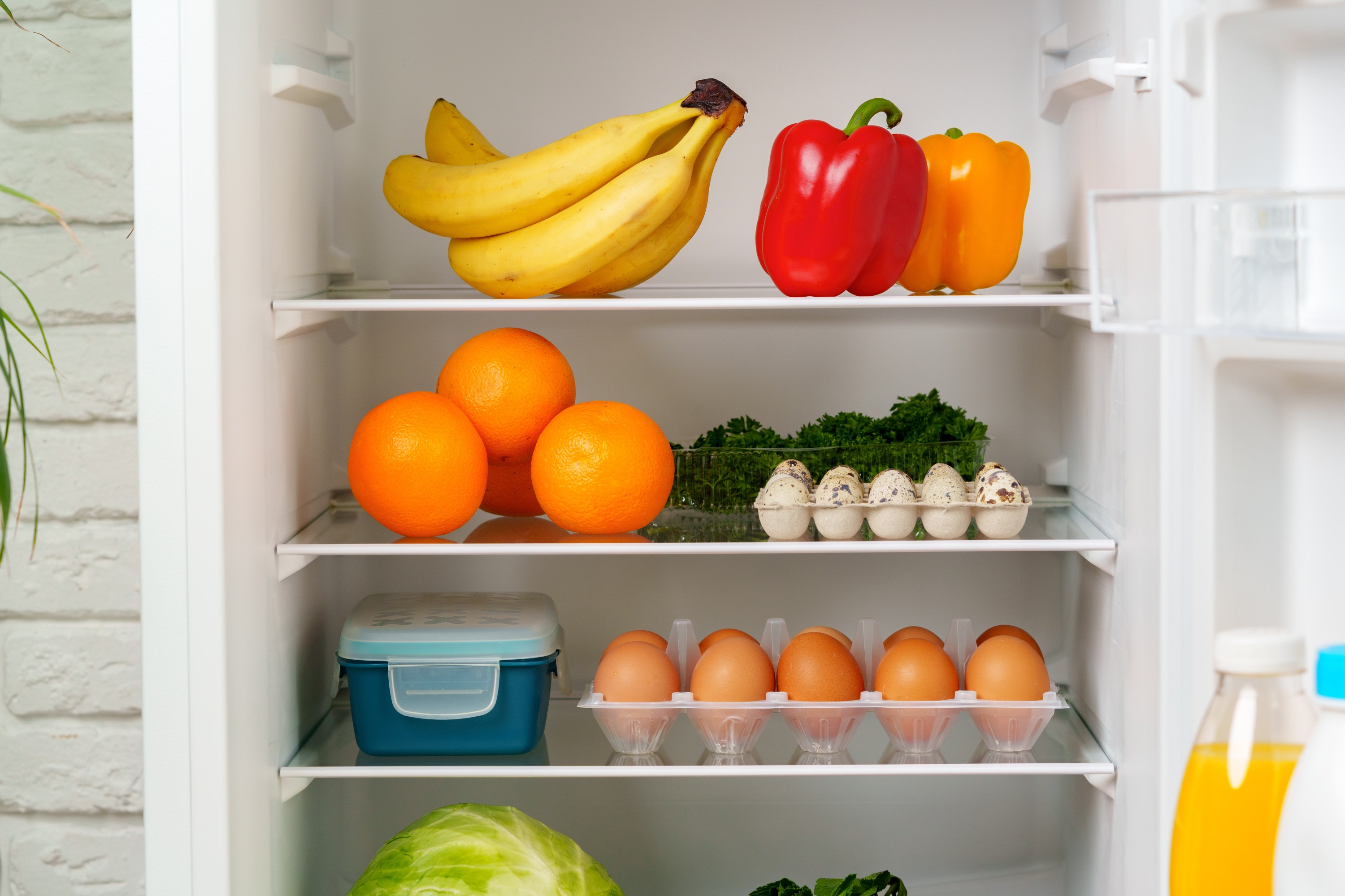 Fridge interior